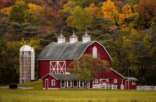 DNA & Drug Testing in Naugatuck, CT